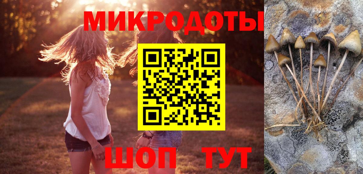 Белебей  Галлюциногенные грибы Psilocybe  Вход с VPN 
